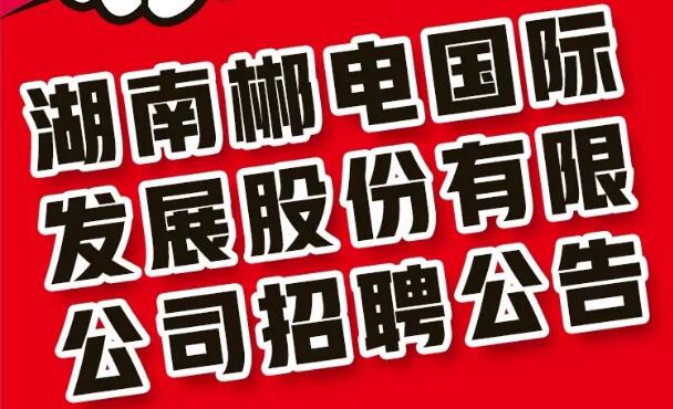 2019年湖南郴电国际发展股份有限公司招聘公告
