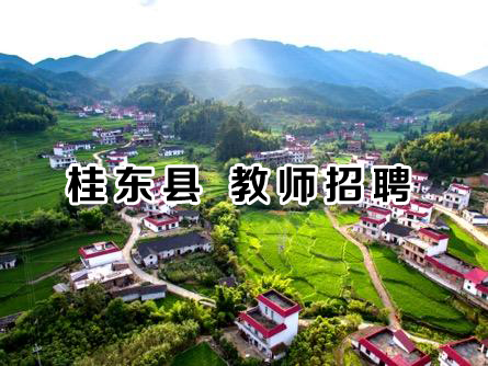 2020年桂东县公开招聘教师公告