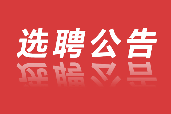 2025年资兴市市直事业单位第二次公开选聘工作人员公告